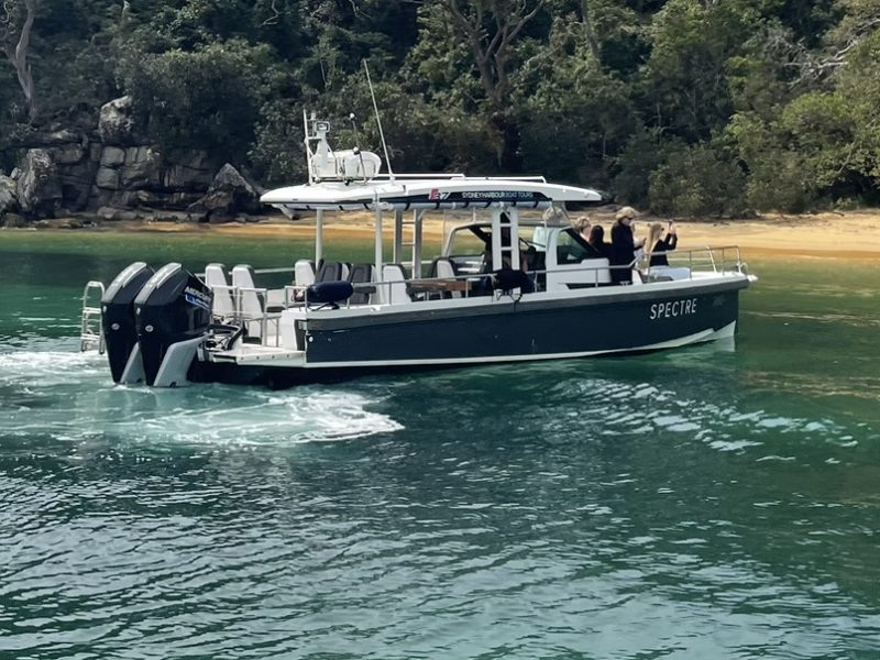 Spectre Secluded Beach Sydney harbour